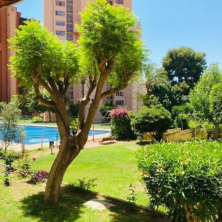 Duplex mensual para vacaciones. Benidorm Exterior foto